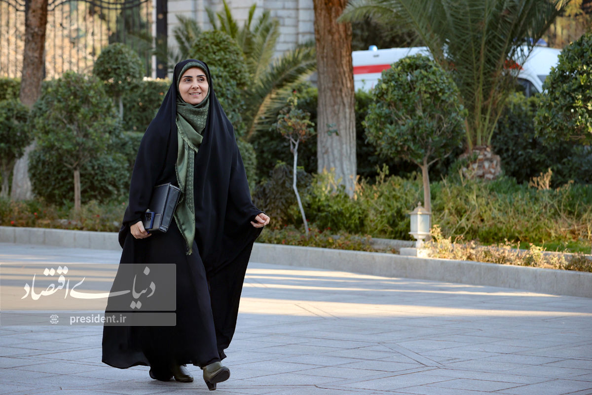 تهران تحمل بارگذاری مسکونی بیشتر را ندارد
